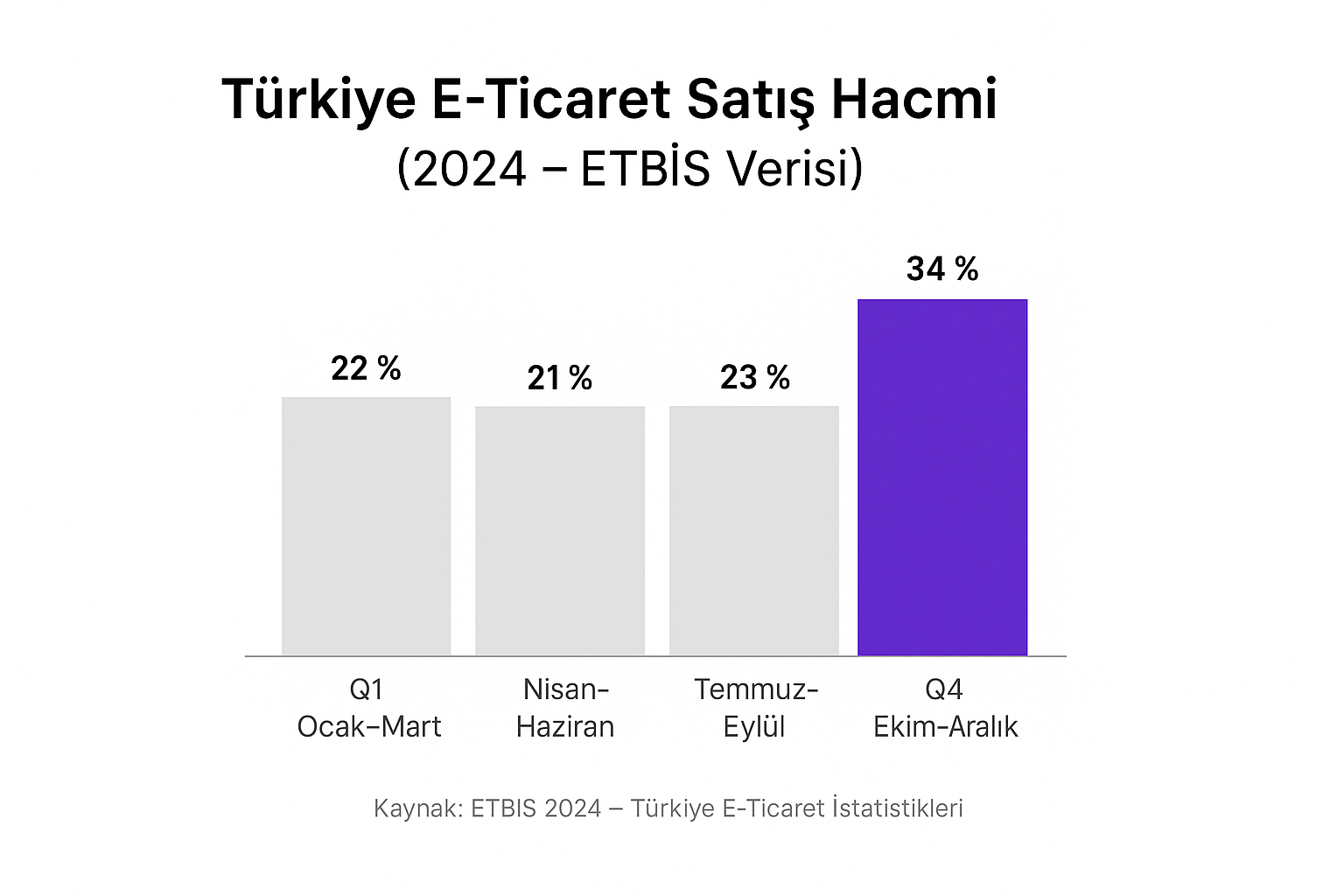 etbis-e-ticaret-raporu